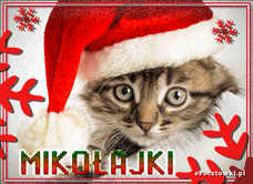 e-Kartka Darmowe kartki elektroniczne z tag: Kartka świąteczna Dziś Mikołajki, kartki internetowe, pocztówki, pozdrowienia