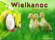 e-Kartka Darmowe kartki elektroniczne z tag: e Pocztówki na Wielkanoc Wielkanocne kaczuszki, kartki internetowe, pocztówki, pozdrowienia