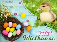 e-Kartka Darmowe kartki elektroniczne z tag: Kartki na Wielkanoc Wielkanoc - Spokojnych Świąt!, kartki internetowe, pocztówki, pozdrowienia