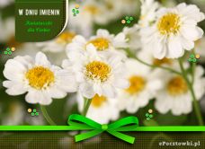 e-Kartka Darmowe kartki elektroniczne z tag: Kartki imieninowe darmo Imieninowe kwiatuszki, kartki internetowe, pocztówki, pozdrowienia