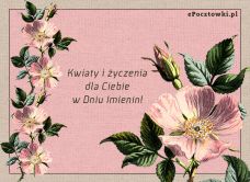 e-Kartka  Kwiaty i życzenia, kartki internetowe, pocztówki, pozdrowienia