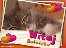e-Kartka Kartki Zwierzęta Witaj Koteczku, kartki internetowe, pocztówki, pozdrowienia