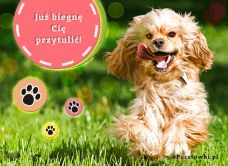 e-Kartka Darmowe kartki elektroniczne z tag: Kartki z psem Już biegnę Cię przytulić!, kartki internetowe, pocztówki, pozdrowienia