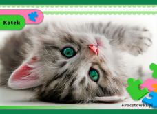 e-Kartka Kartki Zwierzęta Kartka z kotkiem, kartki internetowe, pocztówki, pozdrowienia