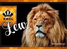 e-Kartka Kartki Zwierzęta Król Lew, kartki internetowe, pocztówki, pozdrowienia