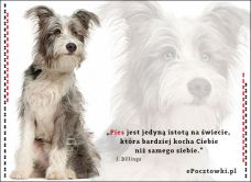 e-Kartka Kartki Zwierzęta Miłość psa, kartki internetowe, pocztówki, pozdrowienia