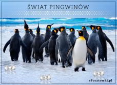 e-Kartka Kartki Zwierzęta Świat pingwinów, kartki internetowe, pocztówki, pozdrowienia