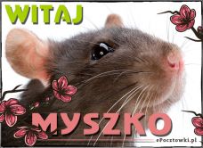 e-Kartka Kartki Zwierzęta Witaj Myszko!, kartki internetowe, pocztówki, pozdrowienia