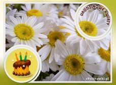 e-Kartka Kartki Elektroniczne Urodzinowe kwiaty, kartki internetowe, pocztówki, pozdrowienia