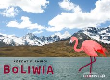 eKartki Państwa, Miasta Flamingi w Boliwii, 