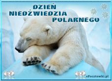 e-Kartka Kartki Różne Dzień Niedźwiedzia Polarnego, kartki internetowe, pocztówki, pozdrowienia