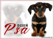 e-Kartka Darmowe kartki elektroniczne z tag: e-Kartki z psem Dzień Psa, kartki internetowe, pocztówki, pozdrowienia