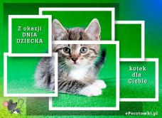 e-Kartka Darmowe kartki elektroniczne z tag: Kartki na Dzień Dziecka Kotek dla Ciebie, kartki internetowe, pocztówki, pozdrowienia