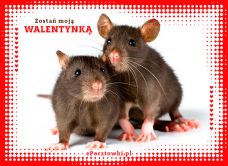eKartki Miłość - Walentynki Moja Walentynko!, 