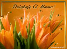 e-Kartka Kartki Dzień Matki Dziękuję Ci Mamo, kartki internetowe, pocztówki, pozdrowienia