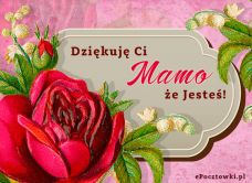 e-Kartka Darmowe kartki elektroniczne z tag: Kartki na Dzień Matki darmo Dziękuję Ci Mamo że Jesteś, kartki internetowe, pocztówki, pozdrowienia