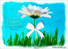 e-Kartka Darmowe kartki elektroniczne z tag: Kartki na Dzień Mamy z życzeniami Kwiatuszek na Dzień Matki, kartki internetowe, pocztówki, pozdrowienia