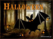 e-Kartka Darmowe kartki elektroniczne z tag: Kartki Halloween darmo Nastała noc, kartki internetowe, pocztówki, pozdrowienia