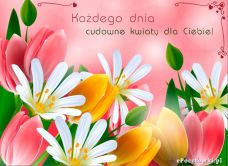 e-Kartka Kartki Kwiaty Cudowne kwiaty, kartki internetowe, pocztówki, pozdrowienia