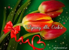 e-Kartka Kartki Kwiaty Tulipany dla Ciebie, kartki internetowe, pocztówki, pozdrowienia