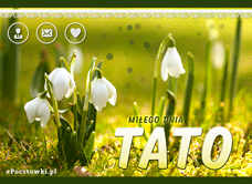 e-Kartka Darmowe kartki elektroniczne z tag: e-Kartki na Dzień Taty Miłego dnia Tato!, kartki internetowe, pocztówki, pozdrowienia