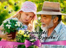 e-Kartka Kartki Elektroniczne Kwiatuszki dla Dziadka, kartki internetowe, pocztówki, pozdrowienia