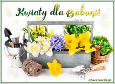 e-Kartka Kartki Elektroniczne Kwiaty dla Babuni, kartki internetowe, pocztówki, pozdrowienia