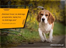 e-Kartka Darmowe kartki elektroniczne z tag: Pies Dobry pies, kartki internetowe, pocztówki, pozdrowienia