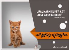 e-Kartka Darmowe kartki elektroniczne z tag: Kartki z kotem Najmarniejszy kot, kartki internetowe, pocztówki, pozdrowienia