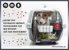 e-Kartka Kartki Elektroniczne Psie smutki, kartki internetowe, pocztówki, pozdrowienia