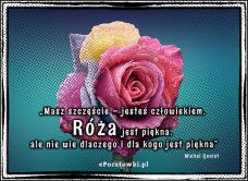 eKartki Złote Myśli Róża jest piękna!, 