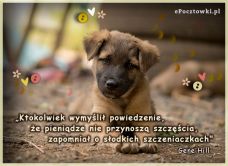 e-Kartka Darmowe kartki elektroniczne z tag: e-Kartki z psem Szczeniaczek, kartki internetowe, pocztówki, pozdrowienia