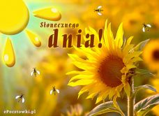 e-Kartka Kartki Cztery Pory Roku Słonecznego dnia!, kartki internetowe, pocztówki, pozdrowienia