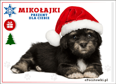 eKartki Boże Narodzenie Od Mikołaja!, 