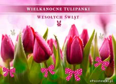 e-Kartka Kartki Wielkanoc Wielkanocne tulipanki, kartki internetowe, pocztówki, pozdrowienia
