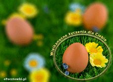 e-Kartka Kartki Elektroniczne Wiosenna Wielkanoc, kartki internetowe, pocztówki, pozdrowienia