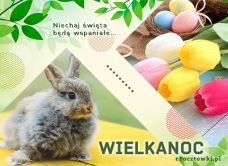 e-Kartka Darmowe kartki elektroniczne z tag: Kartki na Wielkanoc z życzeniami Wspaniała Wielkanoc, kartki internetowe, pocztówki, pozdrowienia